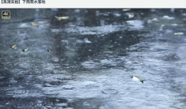 下雨视频,捕捉自然旋律的瞬间